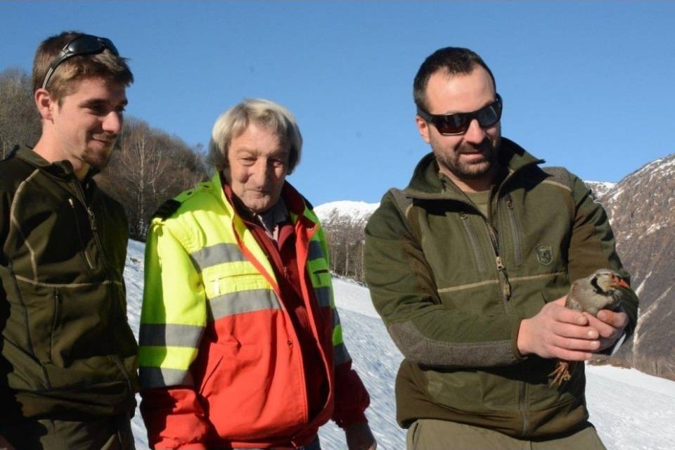 Greina torna a volare