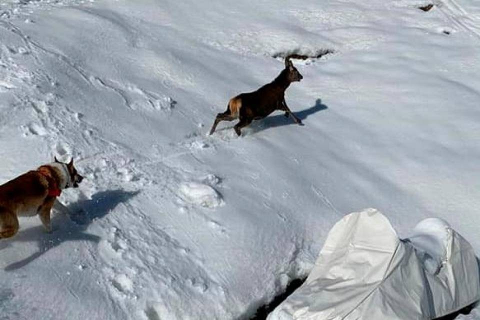 Foto per gentile concessione
