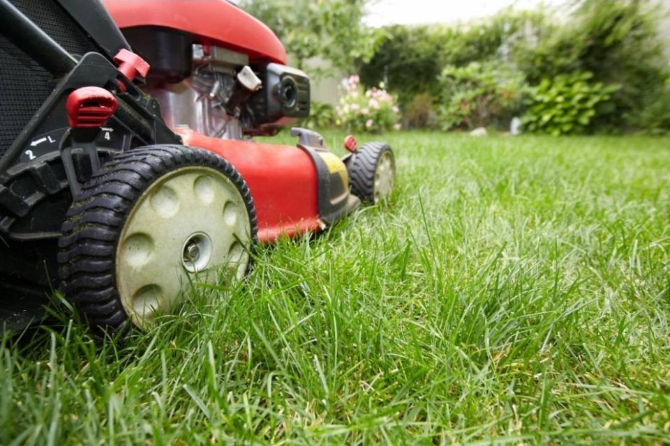 Razzie in ditte e rustici, arresti e bottino da 200mila franchi