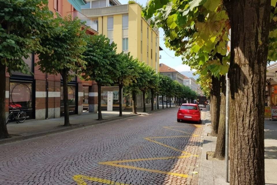 "Fermiamo questa ennesima follia da motosega"