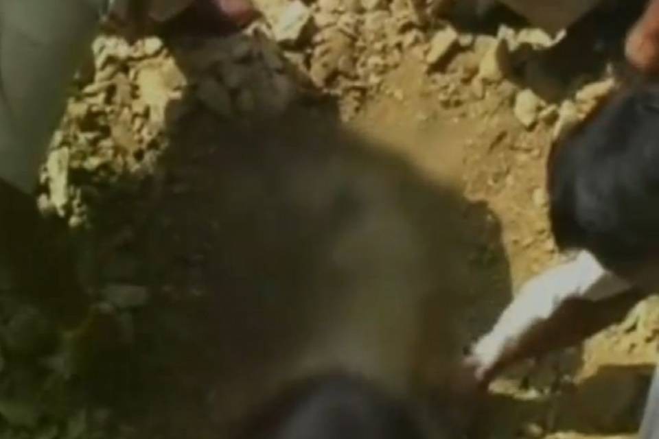 Ubriaco asfaltato vivo