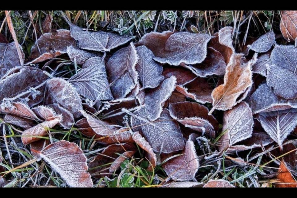 Prime gelate al suolo a nord delle Alpi