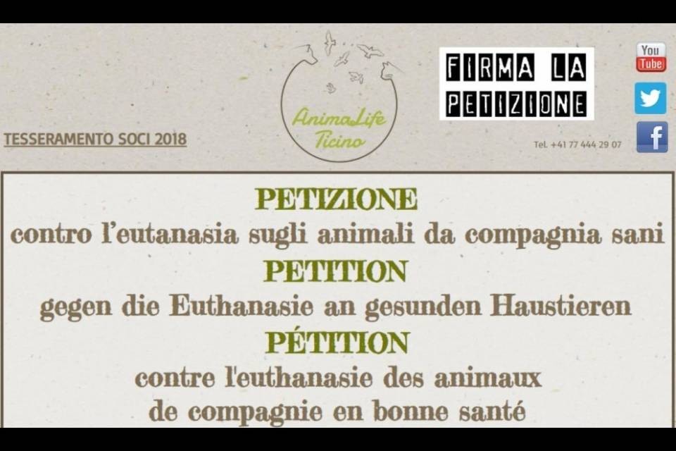 Eutanasia sugli animali sani? La richiesta per il divieto verrà esaminata