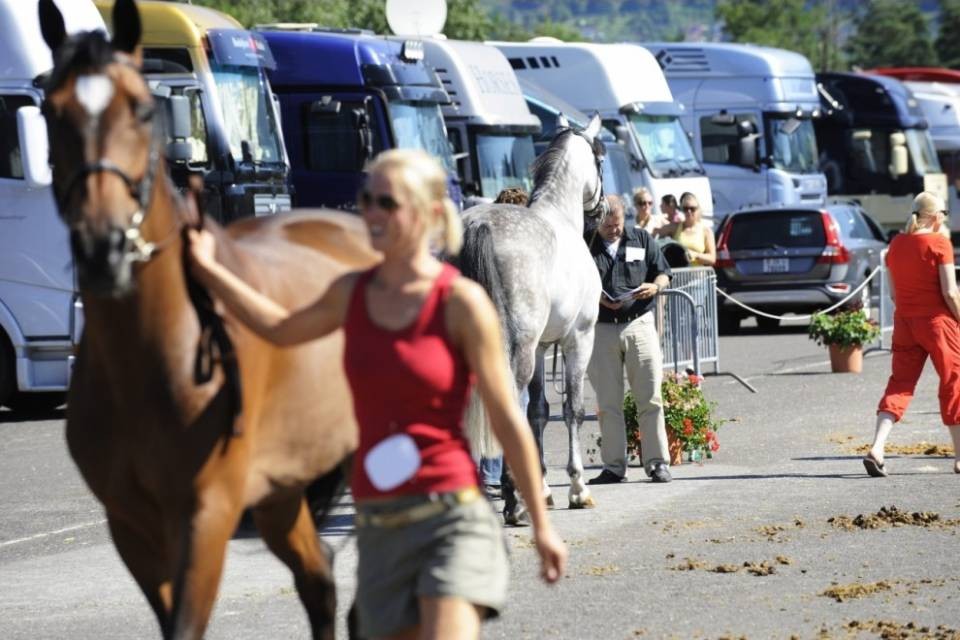 "Ascona finanzia un abuso edilizio"