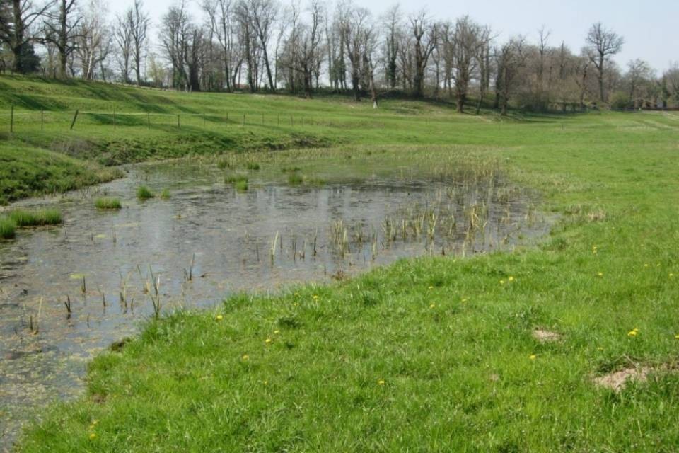 Presto l'area naturale Pre Murin-Vigna-Pavü sarà protetta