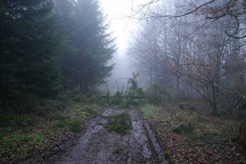 Nuova tempesta in Svizzera