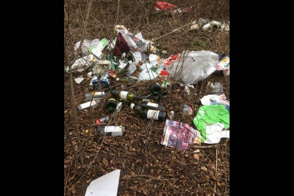 Il littering (e la maleducazione) non risparmiano le rive del Ticino