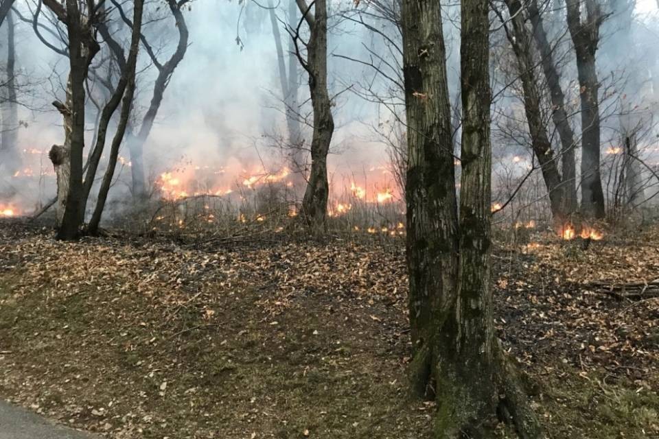Ancora fiamme a Sonvico, non si esclude il dolo
