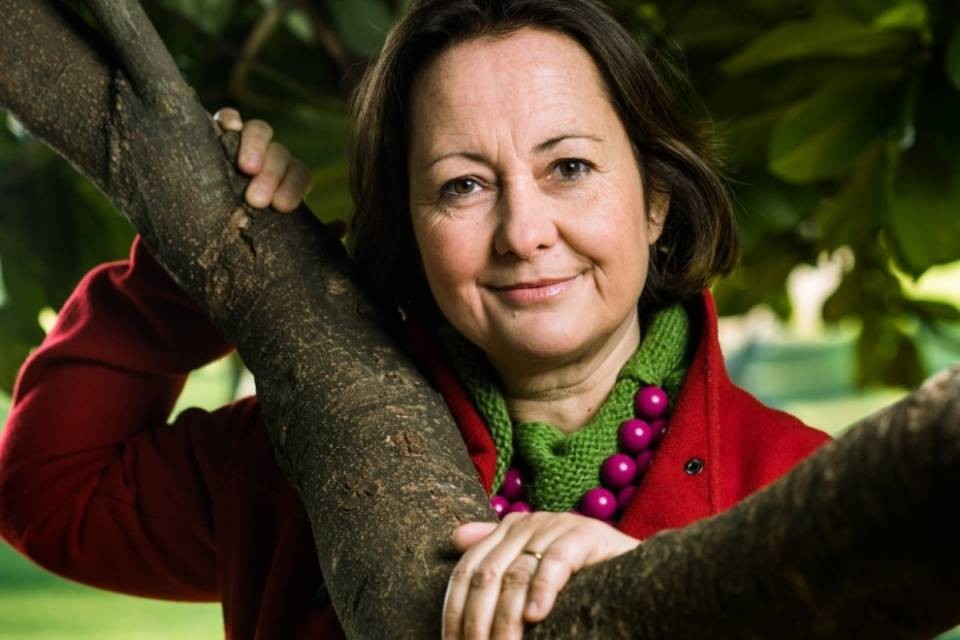 Claudia Crivelli Barella - Il virus e i vizi