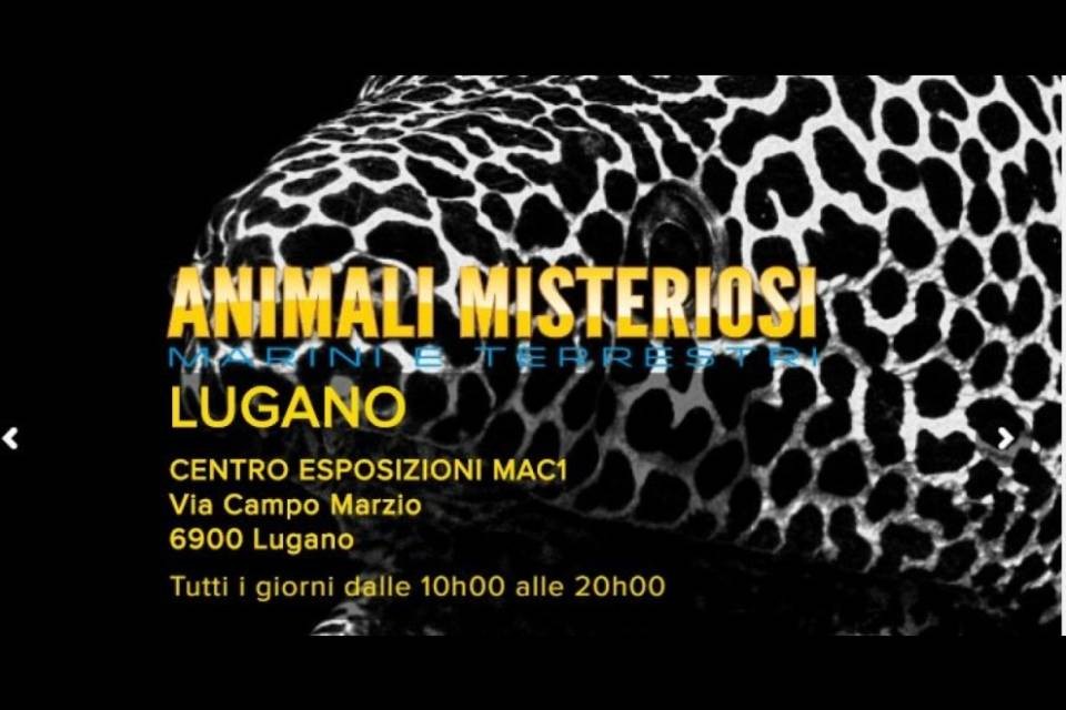 Poliziotti e pompieri a scuola di manipolazione di animali velenosi