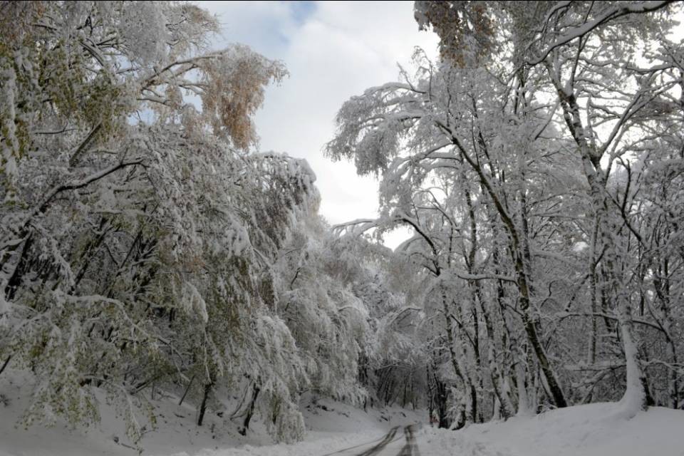 Locarno Monti: "Sabato nevica"