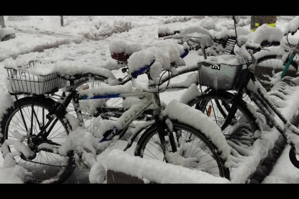 La neve paralizza il Ticino