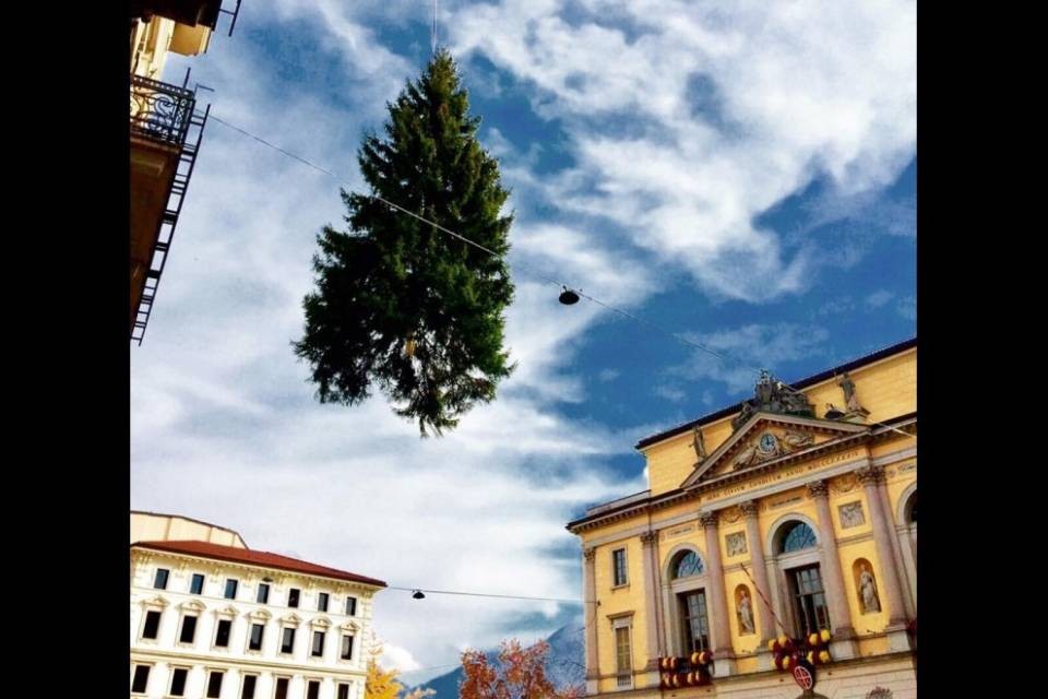 Anche a Lugano è arrivato l'albero di Natale