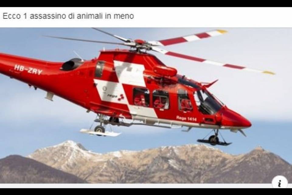 Sui social c'è chi gioisce per la morte del cacciatore