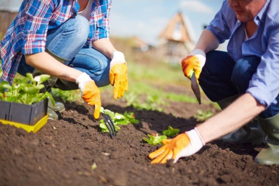 Sovvenzioni ridotte a oltre 7'000 agricoltori