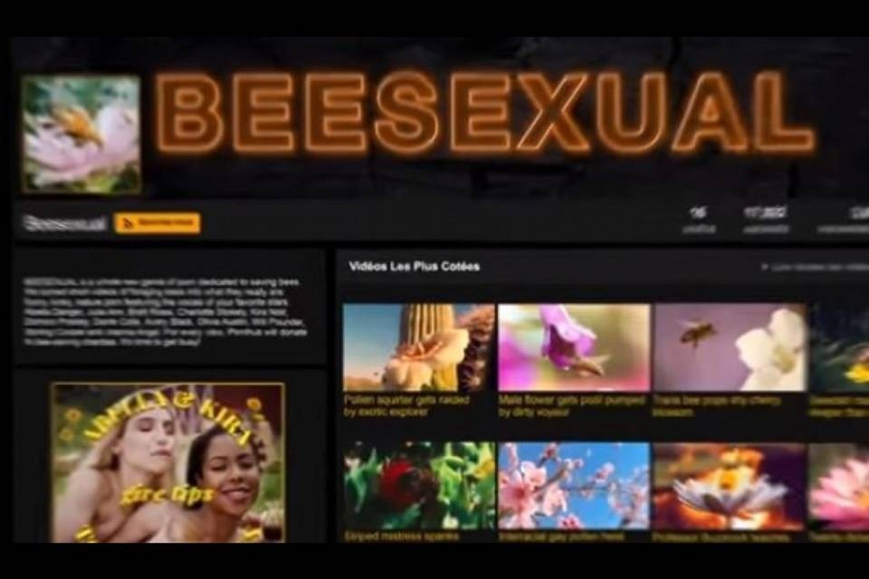 Il porno di api, la nuova iniziativa di PornHub