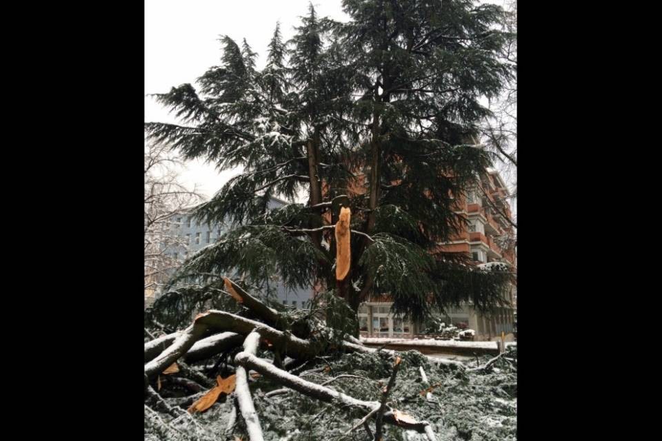 Neve, "la disgrazia era evitabile"