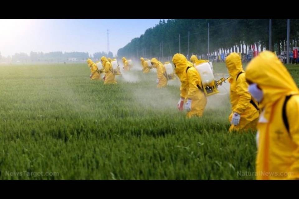 Il WWF critica la Svizzera per i pesticidi