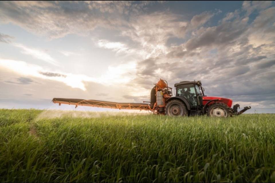 Pesticidi, la Confederazione precisa le misure da adottare