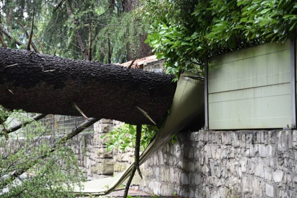 Pianta si abbatte su una casa a Monteggio