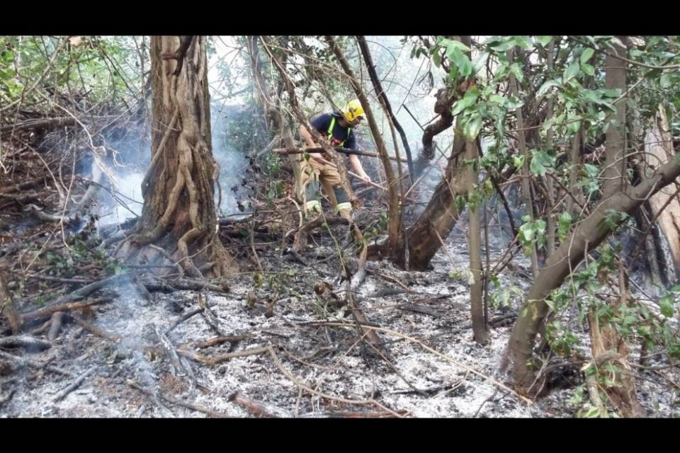 Sventato incendio boschivo a Melide