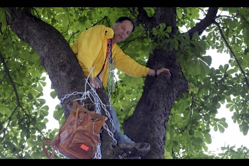 Nuovi tagli agli ippocastani di Lugano