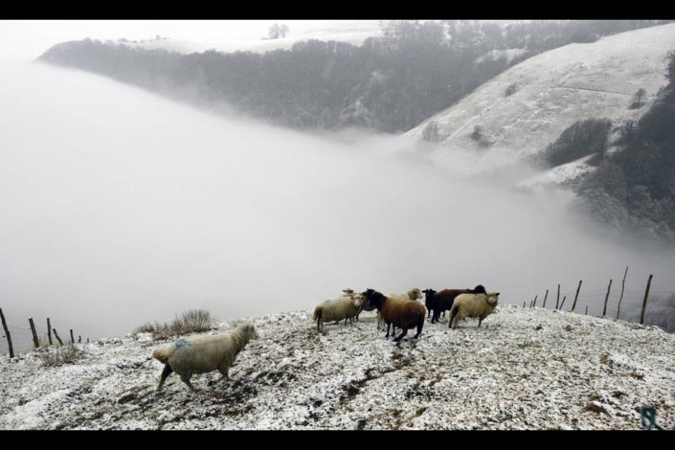 Torna la neve? Sì, ma...