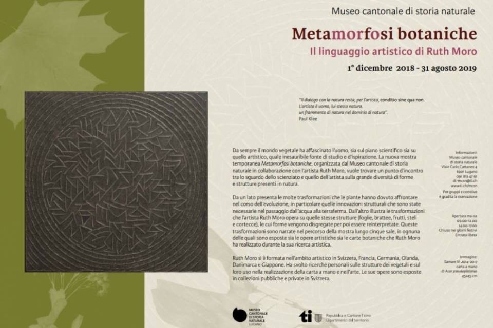 Metamorfosi botaniche al Museo cantonale di storia naturale