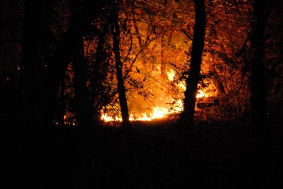 Violento incendio nei boschi sopra Canobbio