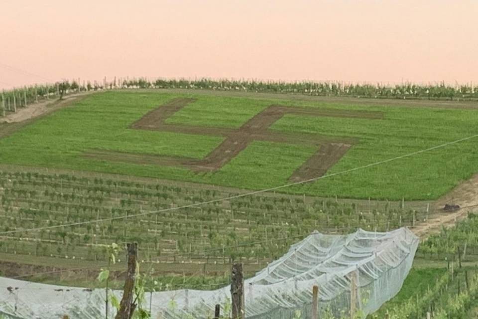 Soliti ignoti disegnano una svastica gigante nei campi