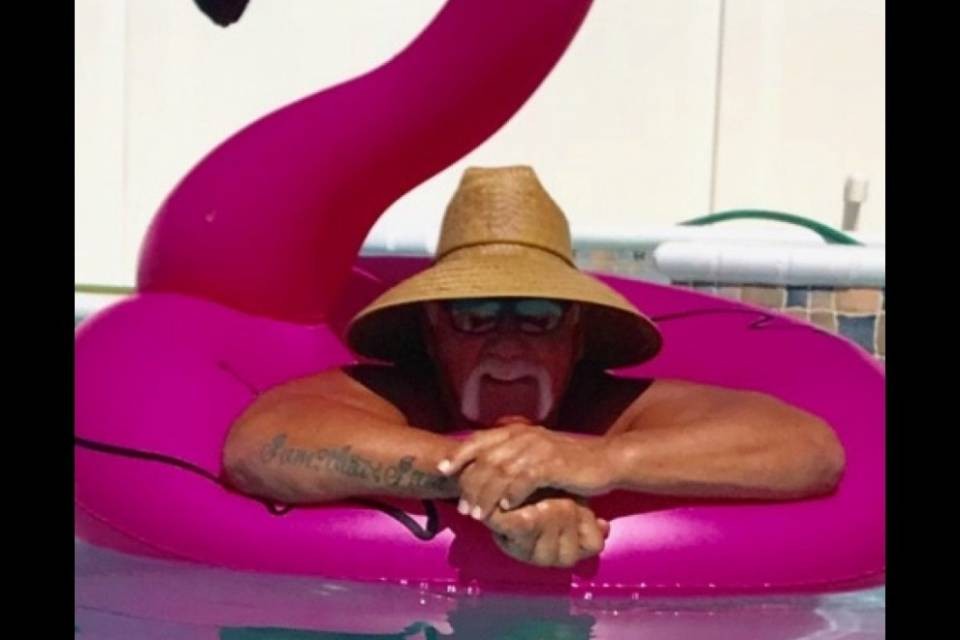 I fenicotteri rosa a casa di Hulk Hogan