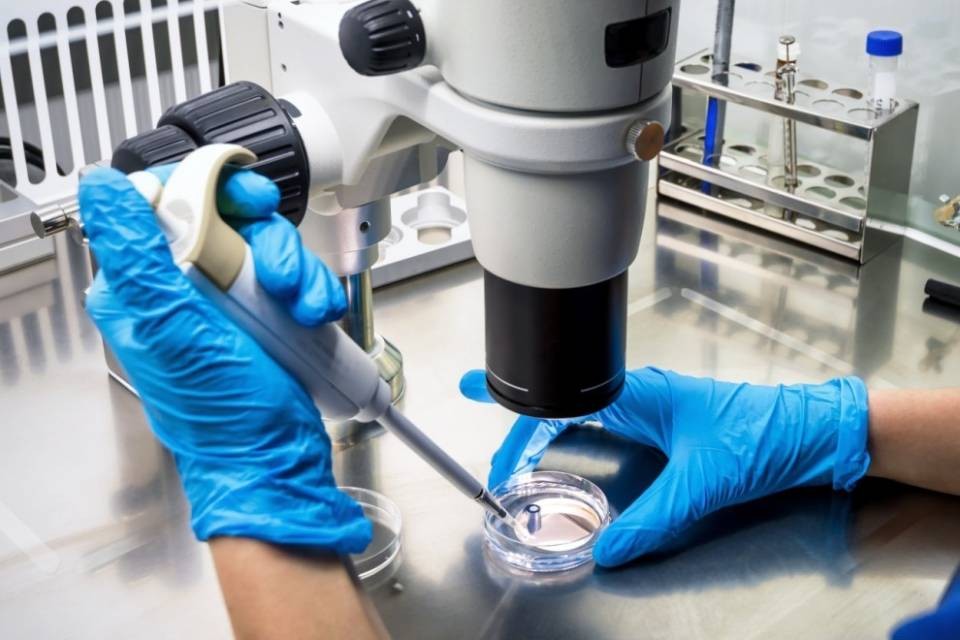 Coronavirus, lanciato il programma nazionale di ricerca