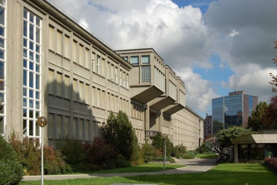 Professoressa esclusa dall'Università per omofobia