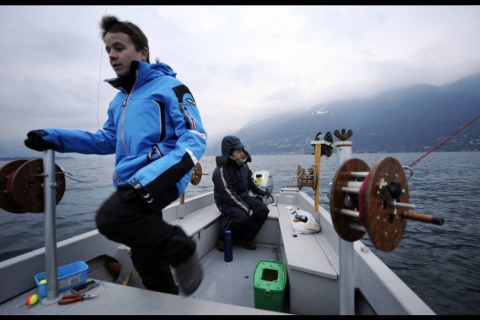 Aumentano i pesci sul bacino svizzero del Verbano