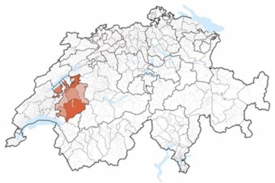 Primo caso di coronavirus per il canton Friburgo