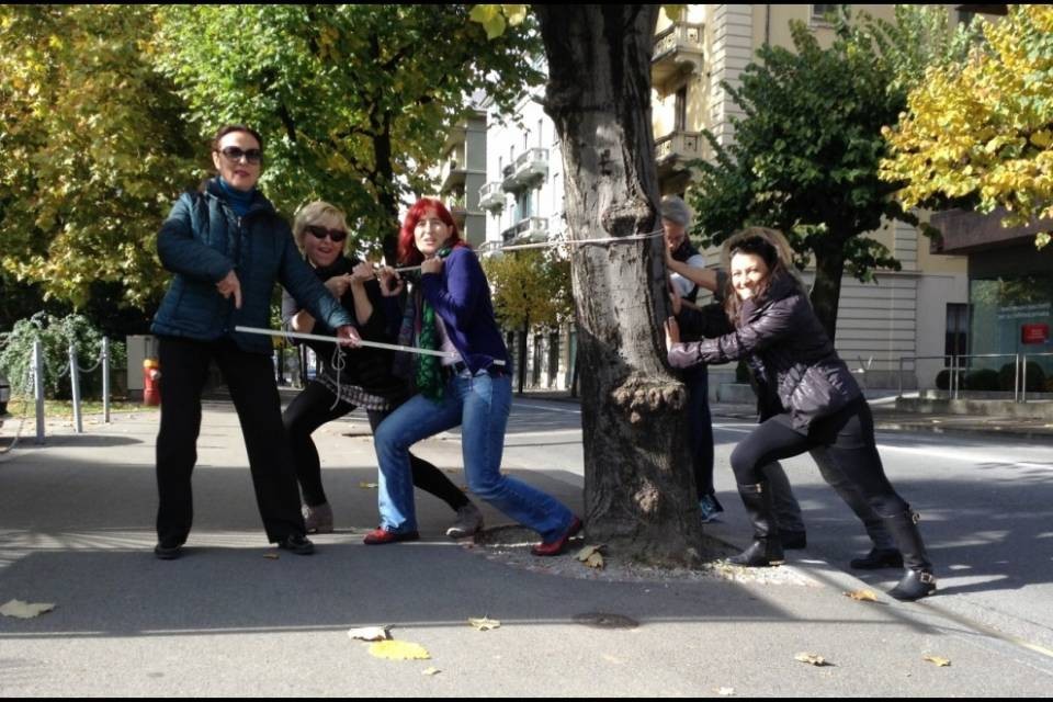 "Spostare gli alberi? Significa abbatterli"