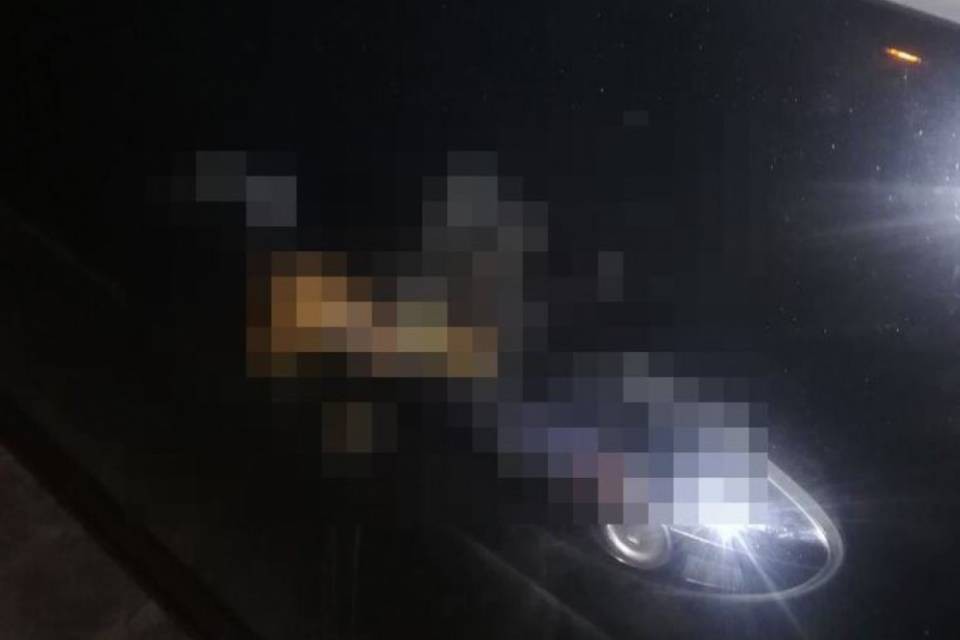 Defeca sulla portiera del cliente del ristorante: "Così impari"