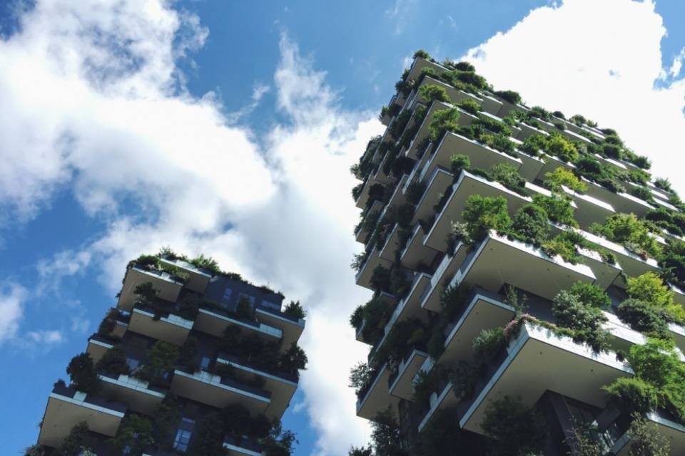 Tetti e pareti verticali verdi contro il calore e l'inquinamento