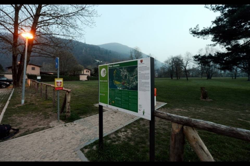 Cani liberi all'alba e al tramonto