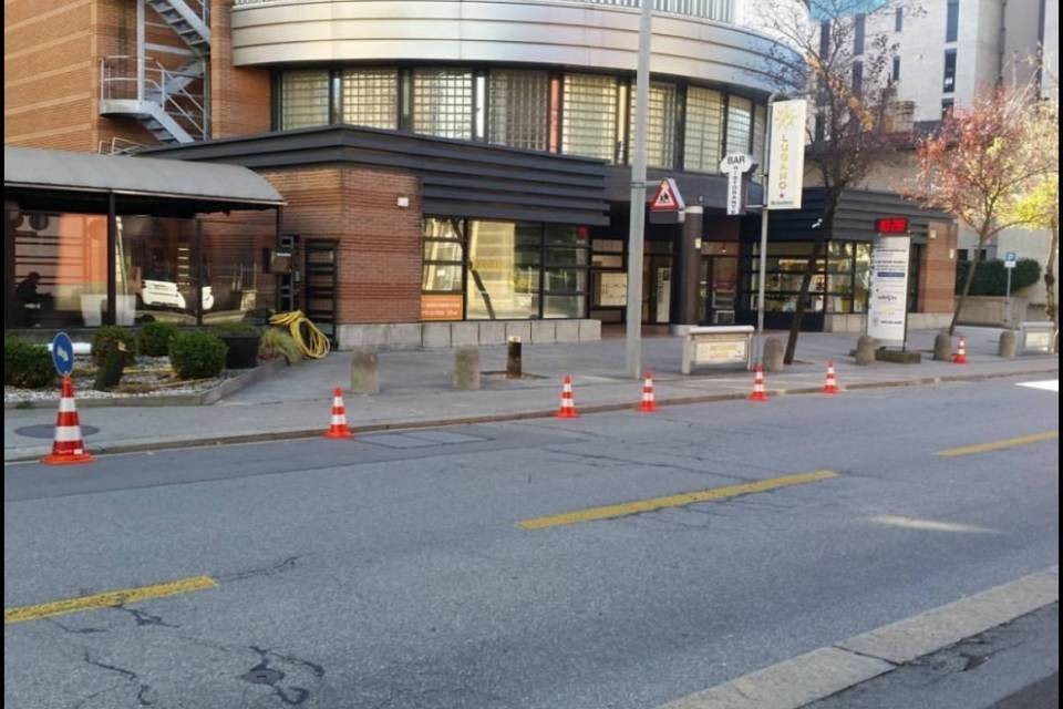 Altri alberi spariscono da Lugano
