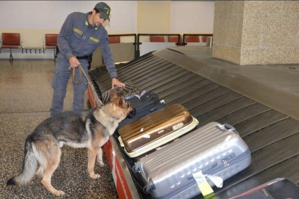 Svizzero arrestato a Malpensa: è un 21enne del Luganese