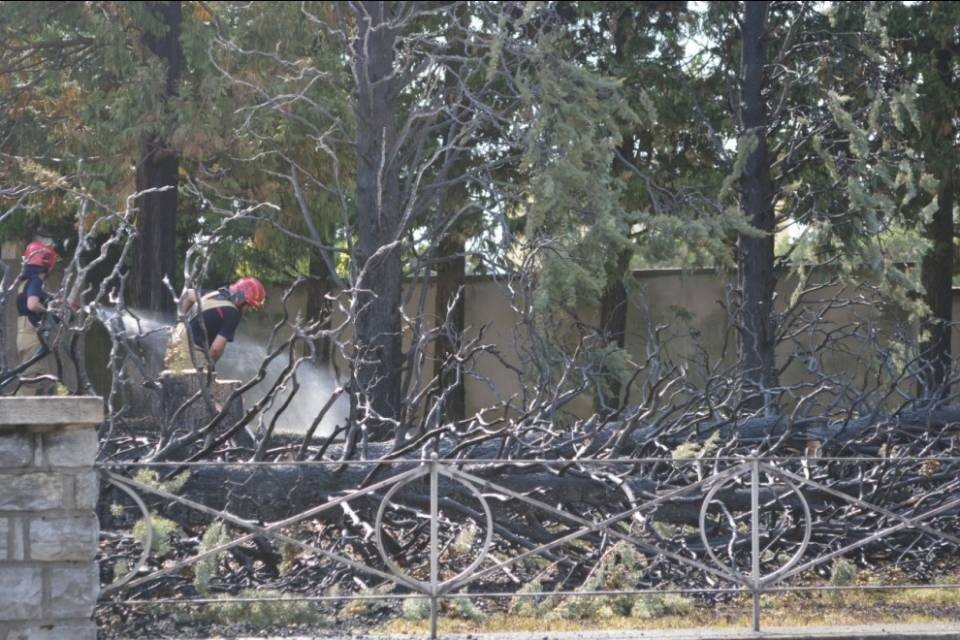 Pianta in fiamme in un parco a Balerna