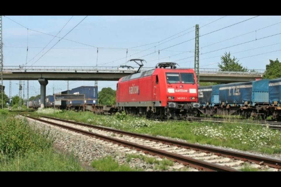 Scoperti 16 profughi in un container vicino a Basilea