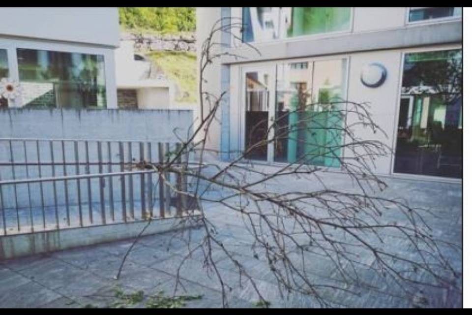 A Grono 'piovono' alberi: festa rovinata per i dipendenti