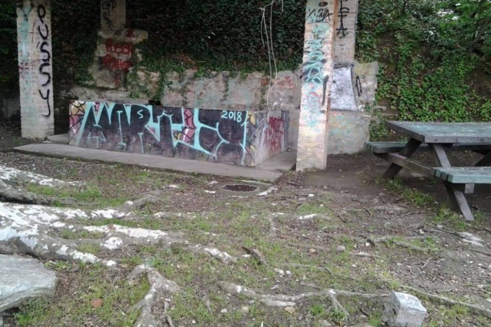 È mistero sul gatto annegato a Morbio: "È stato ucciso"