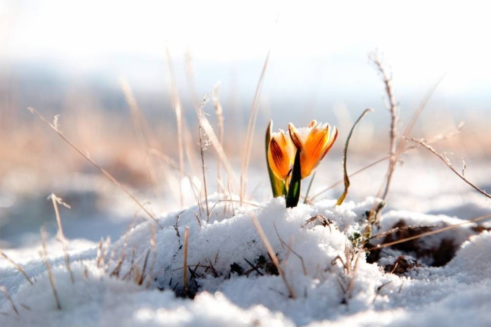 Tornano gelo e neve in Svizzera