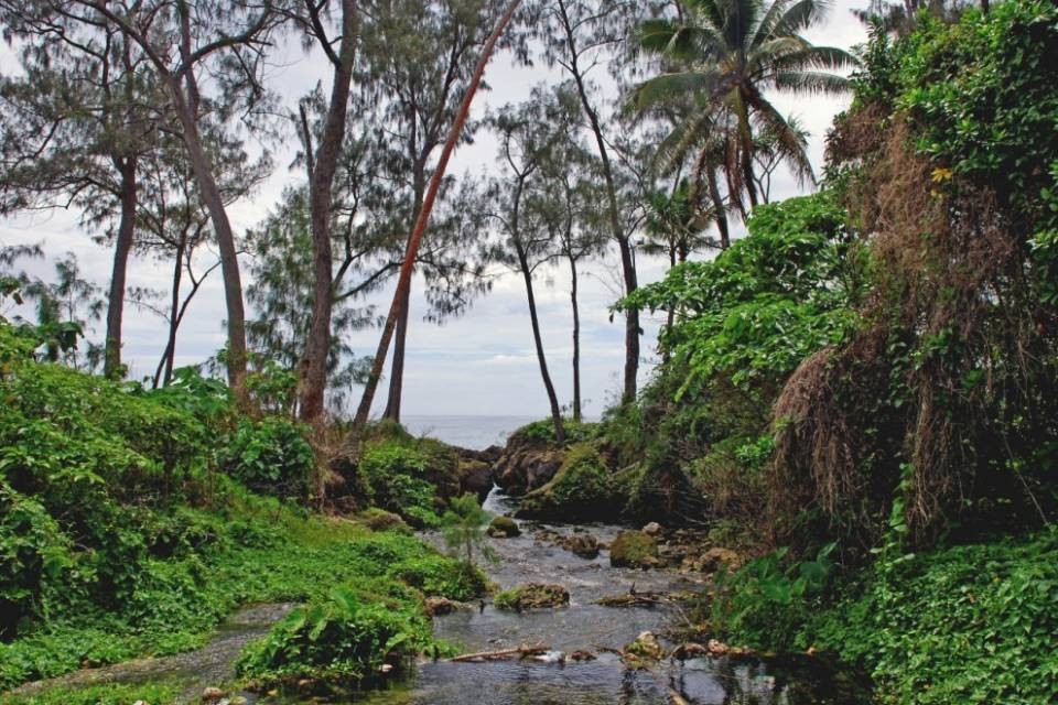 Svizzera violentata a Vanuatu