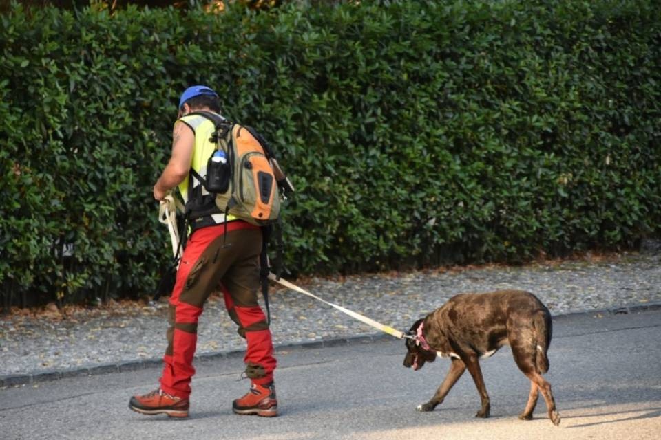 A Losone si continua a cercare la donna scomparsa