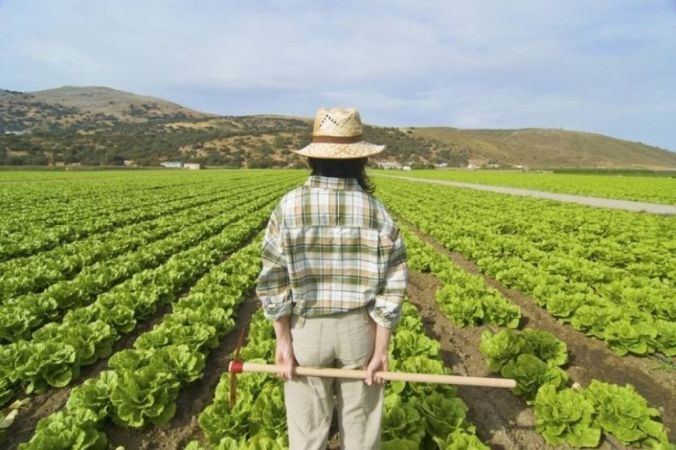Agricoltori svizzeri a forte rischio burnout