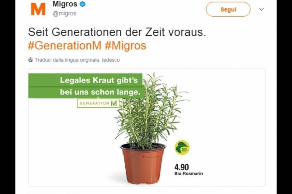 "L'erba legale? Da noi c'è già"